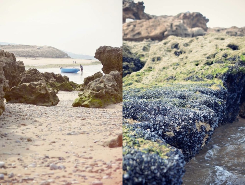 1237415_10151545845115378_1392904190_o