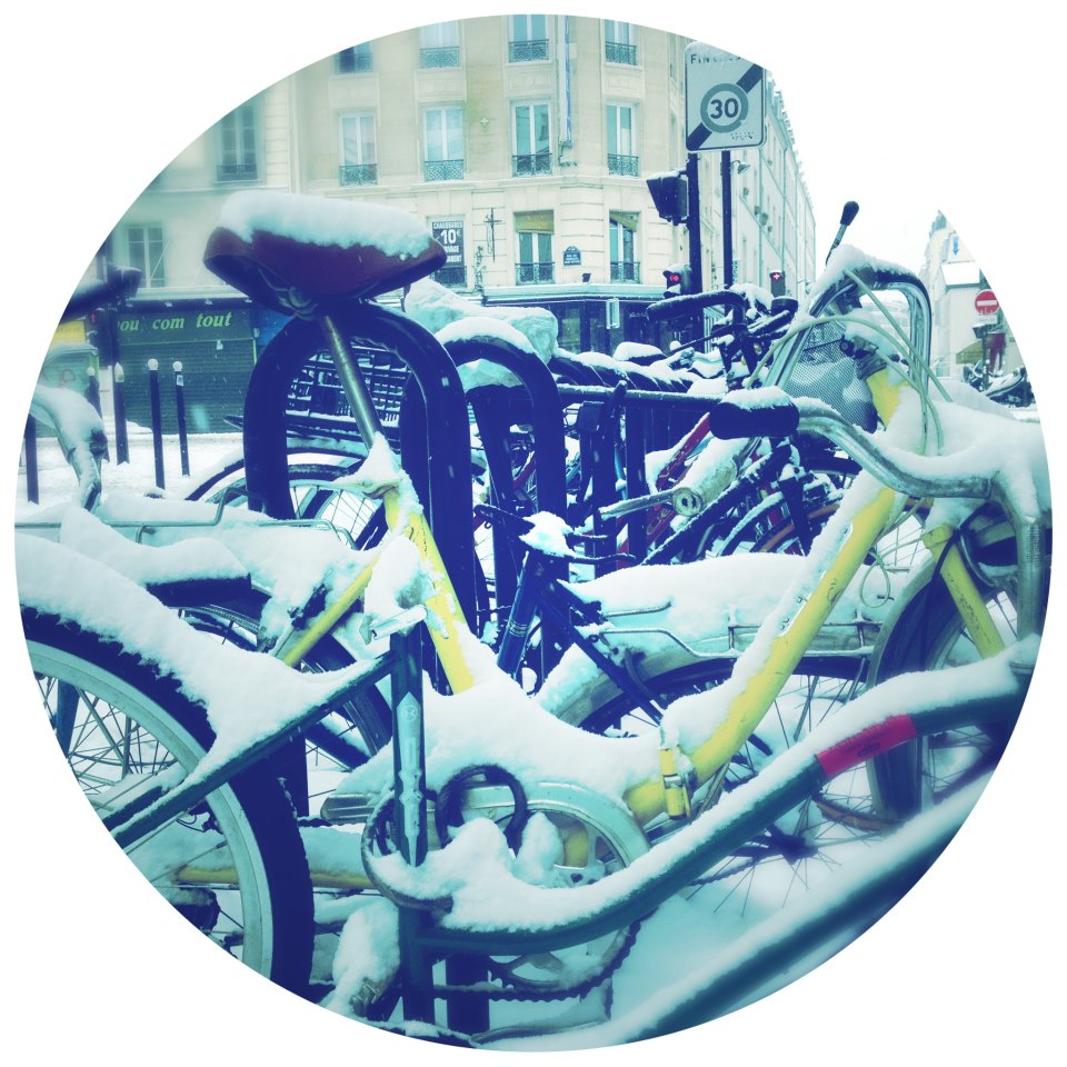 523304_10151166516445378_426155060_n