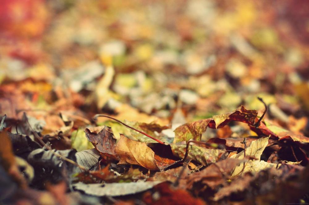 135618_10151041974420378_233715808_o