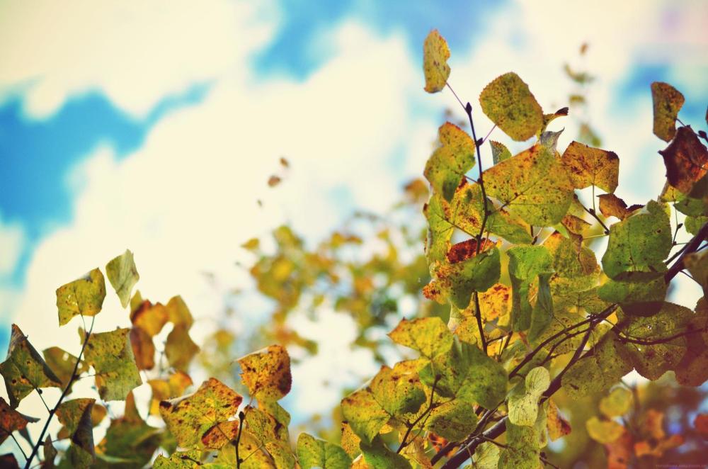 281087_10151041974280378_1986459799_o