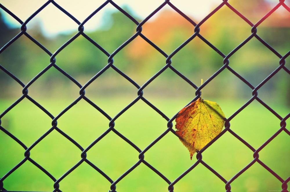 286462_10151041974585378_939788032_o